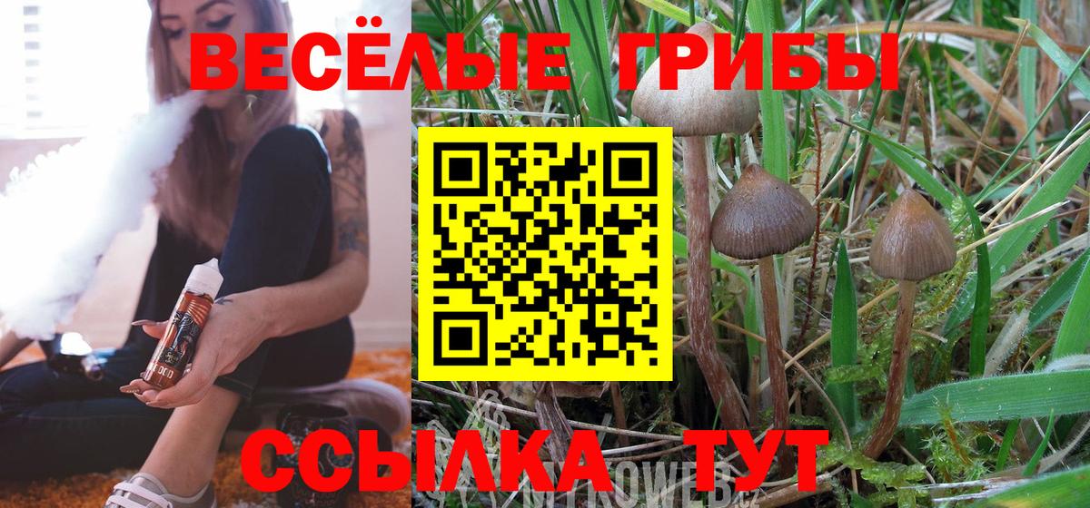 Галлюциногенные грибы Cubensis Кунгур