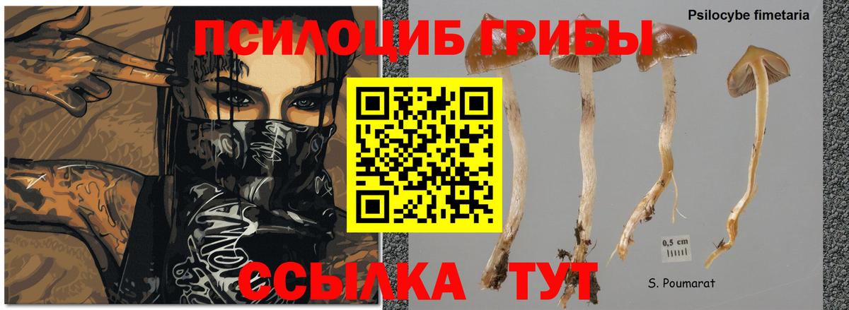 Псилоцибиновые грибы мухоморы  Вход с VPN  Кунгур 